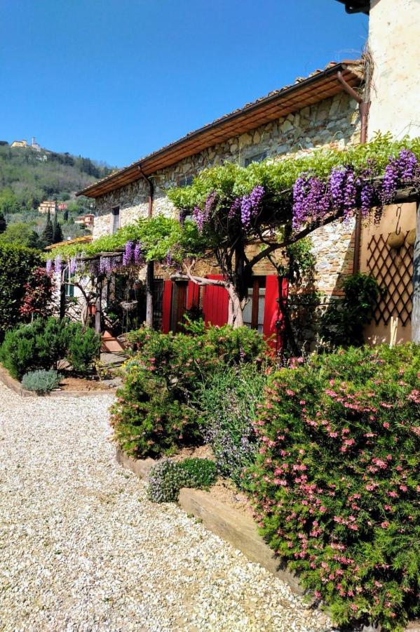 La Corte Del Falco Pieve a Nievole Buitenkant foto
