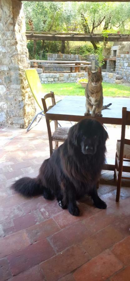 La Corte Del Falco Pieve a Nievole Buitenkant foto