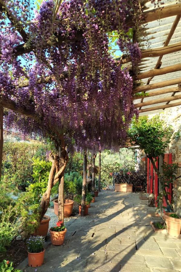 La Corte Del Falco Pieve a Nievole Buitenkant foto