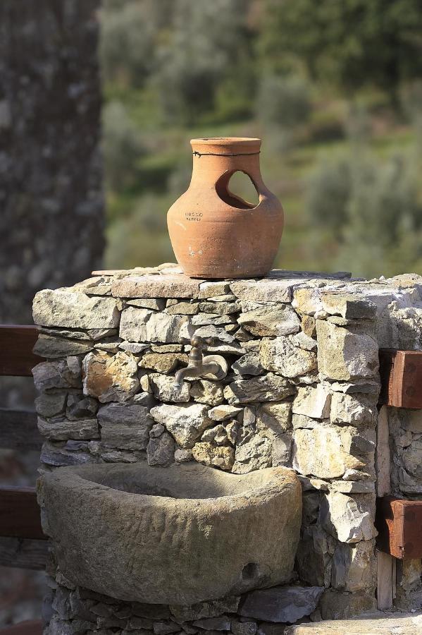 La Corte Del Falco Pieve a Nievole Buitenkant foto