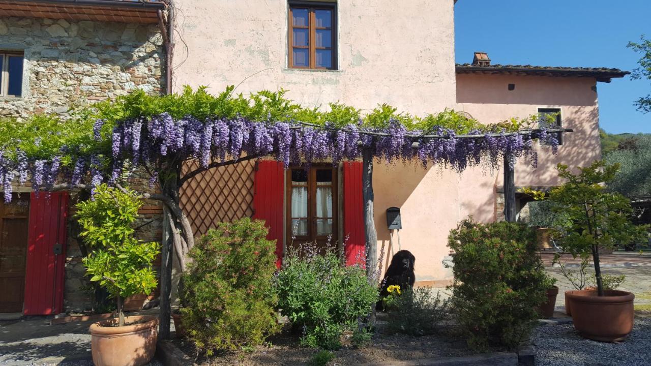La Corte Del Falco Pieve a Nievole Buitenkant foto